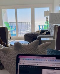 My view while I was writing. Bliss.
