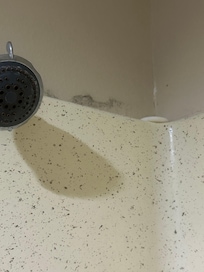 Mold in the shower and they apparently didn’t get rid of soap from previous guests