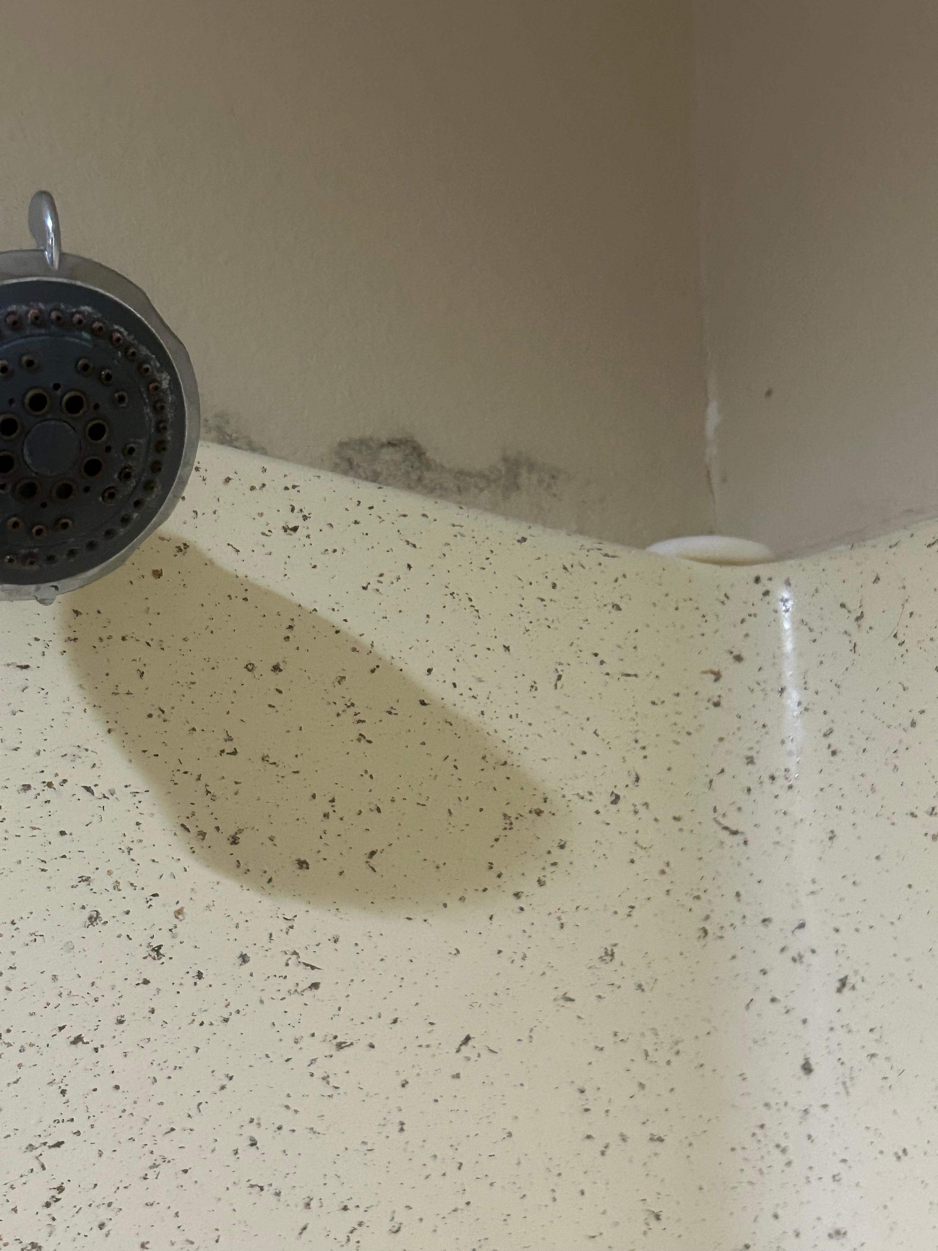 Mold in the shower and they apparently didn’t get rid of soap from previous guests 