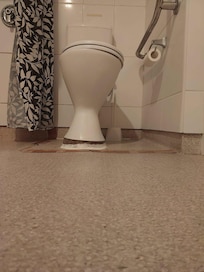 The toilet and the angle at which its been installed