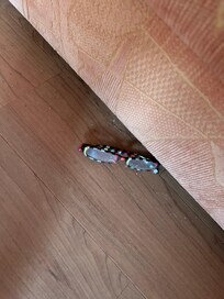 Verstaubte Brille vom Vorgänger