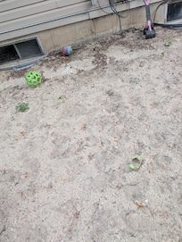 Broken dog toys and pooper scooper
