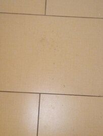 Hair on the floor