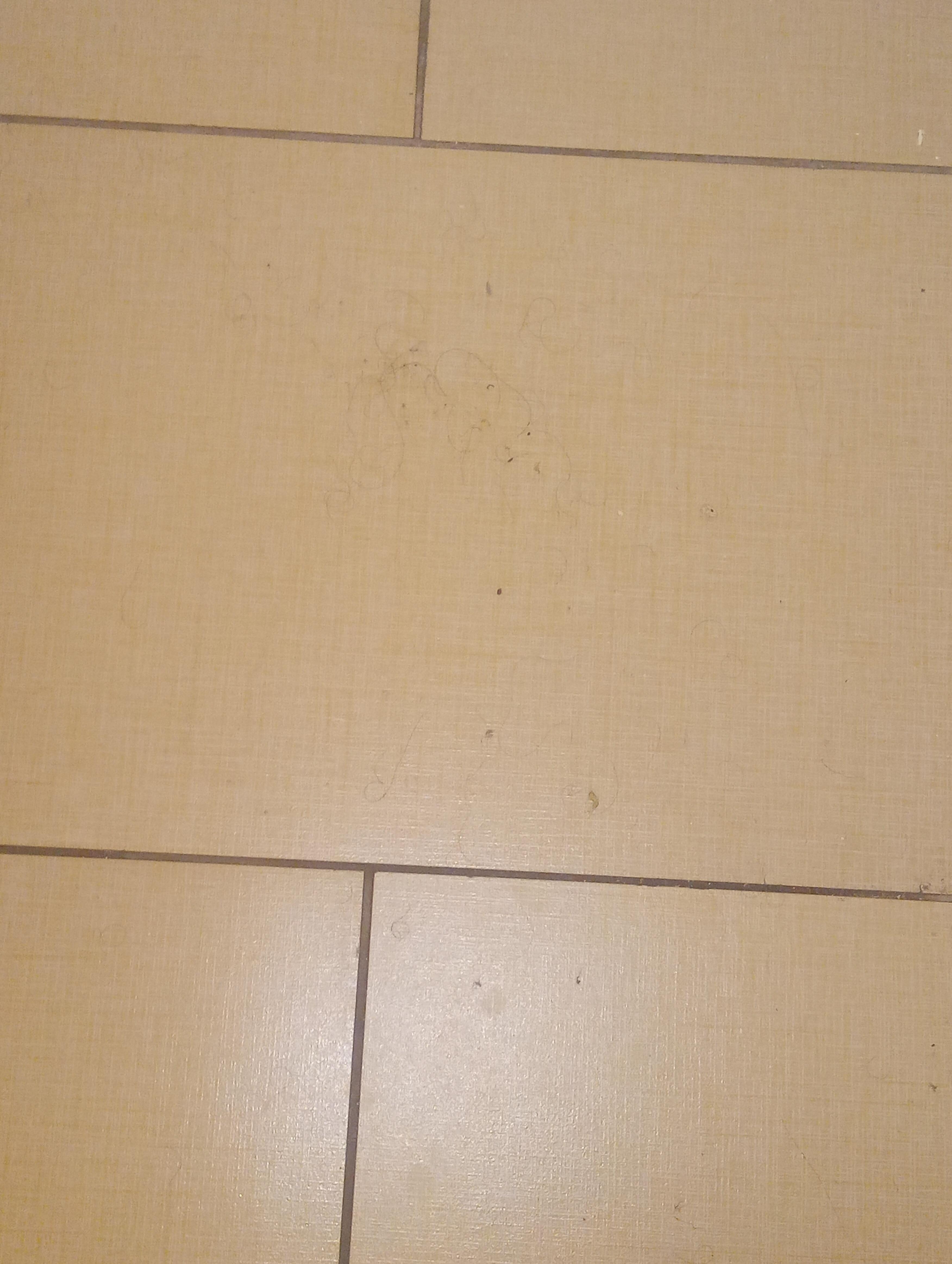 Hair on the floor 