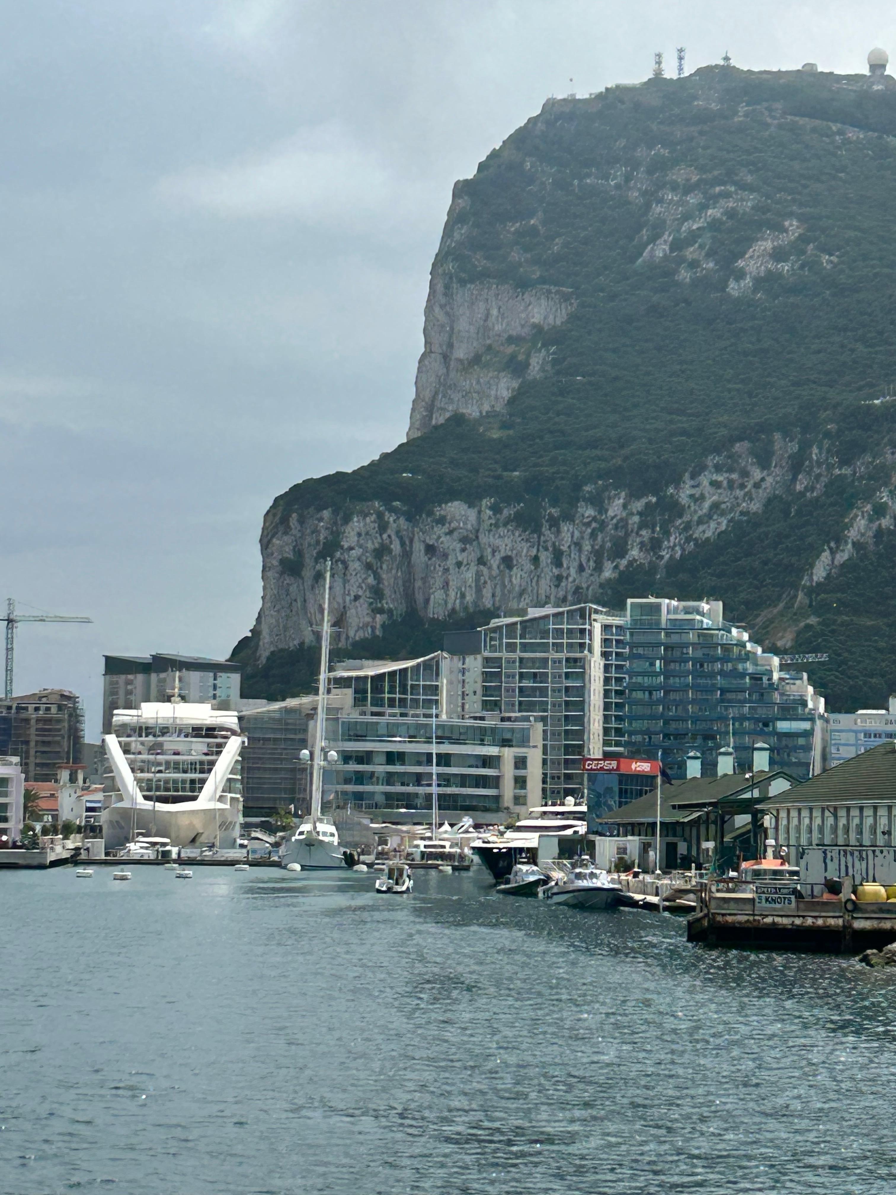 Taken from Dolphin trip boat 