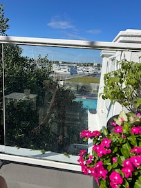 view from deck above pool where I had morning (complimentary) coffee
