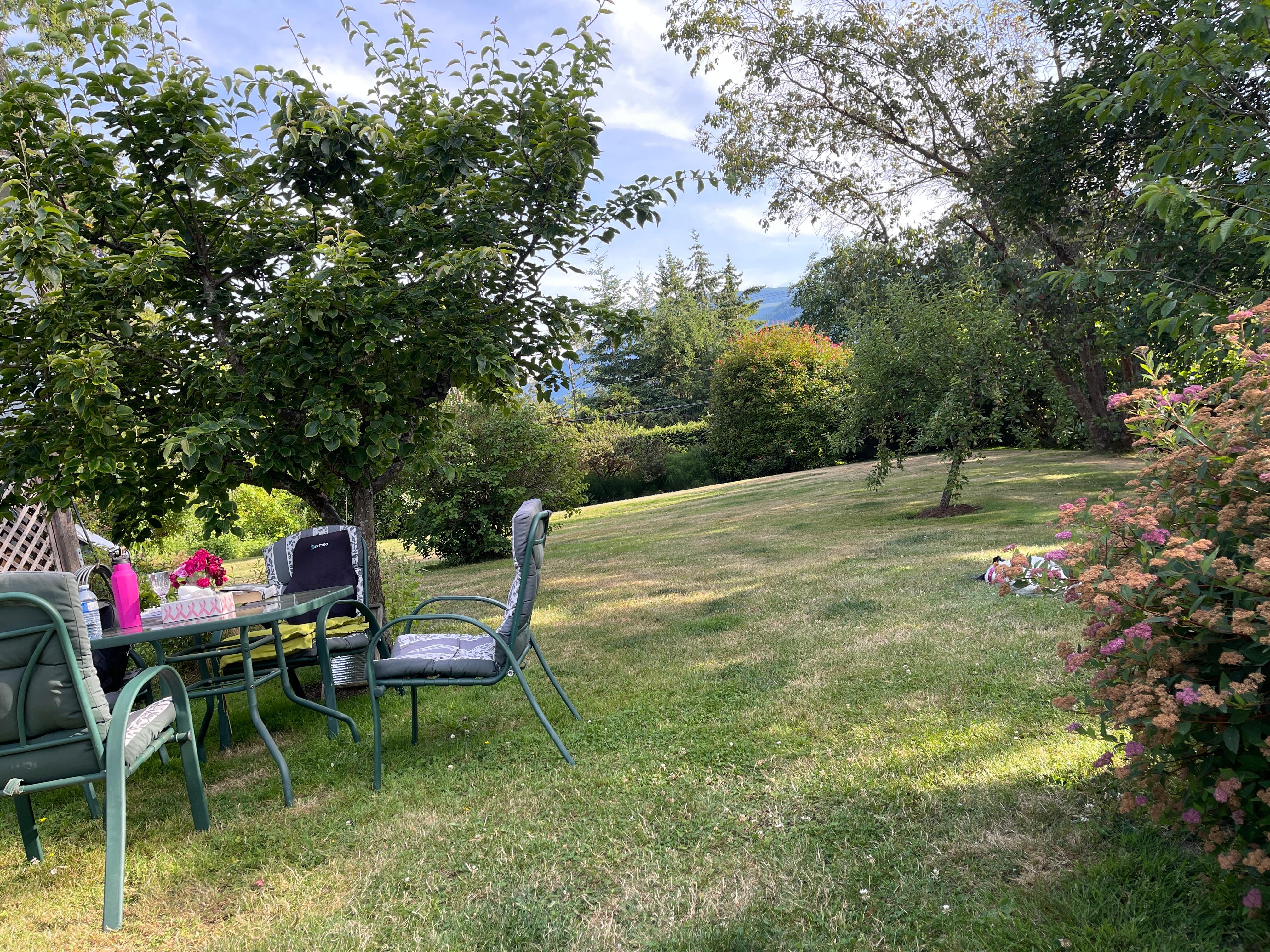 The beautiful yard