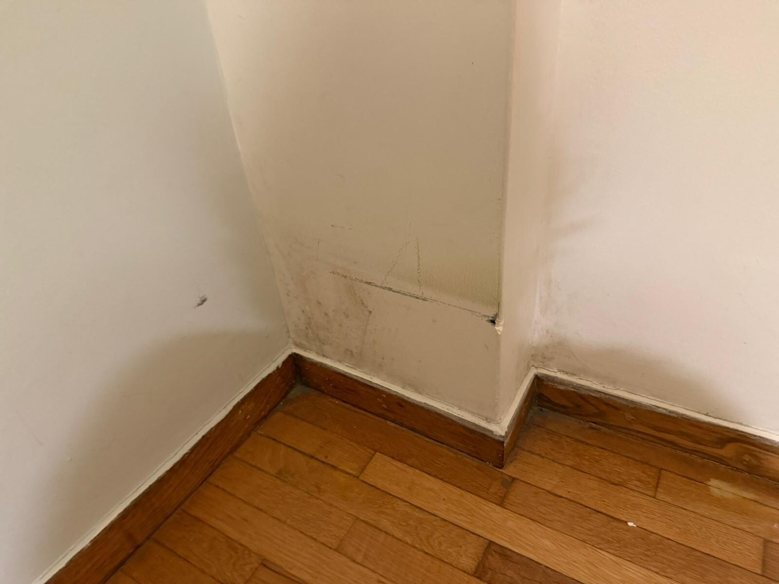 Black mold on bedroom wall