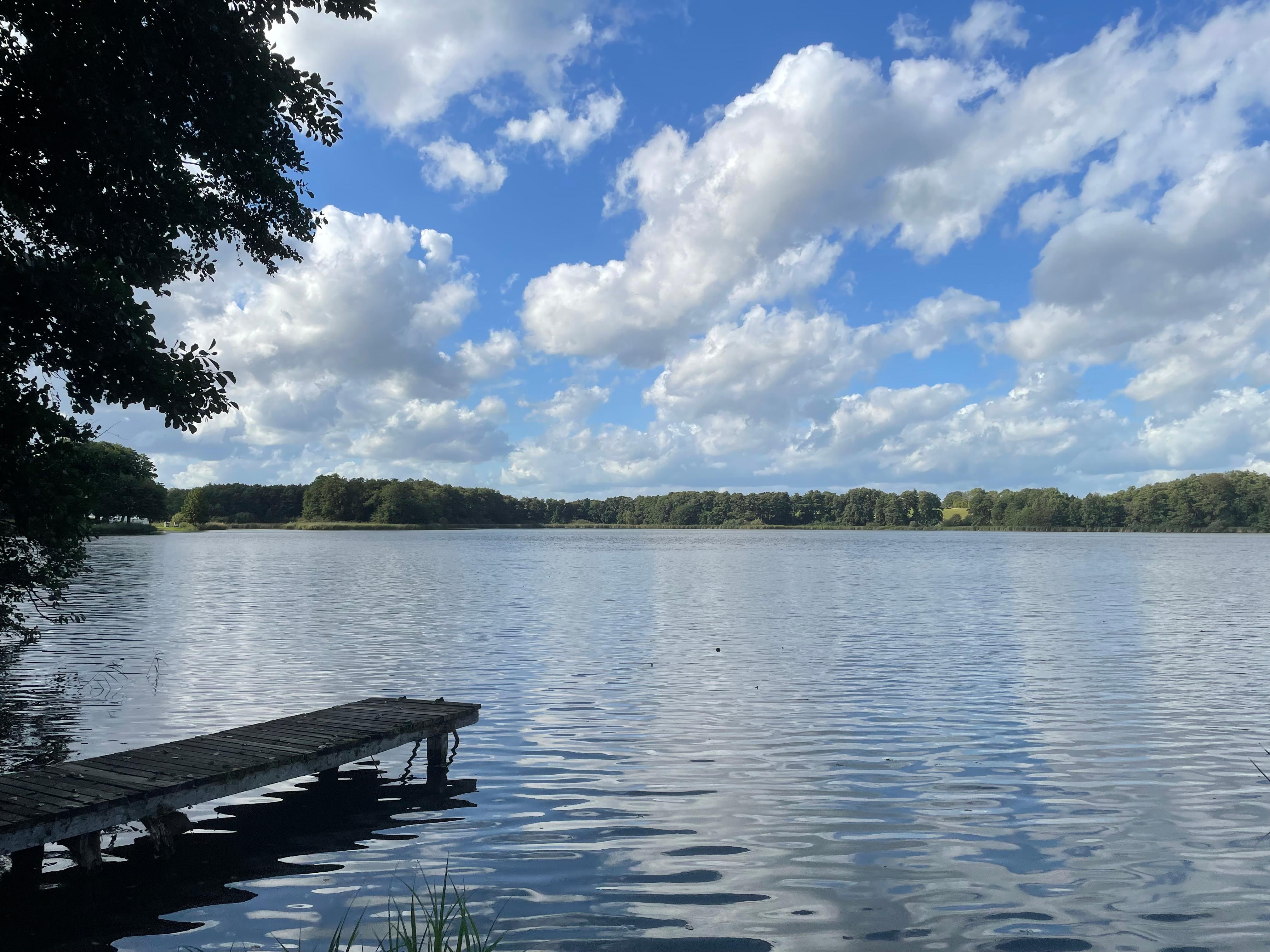 Blick vom Garten auf den Ulrichshuser See