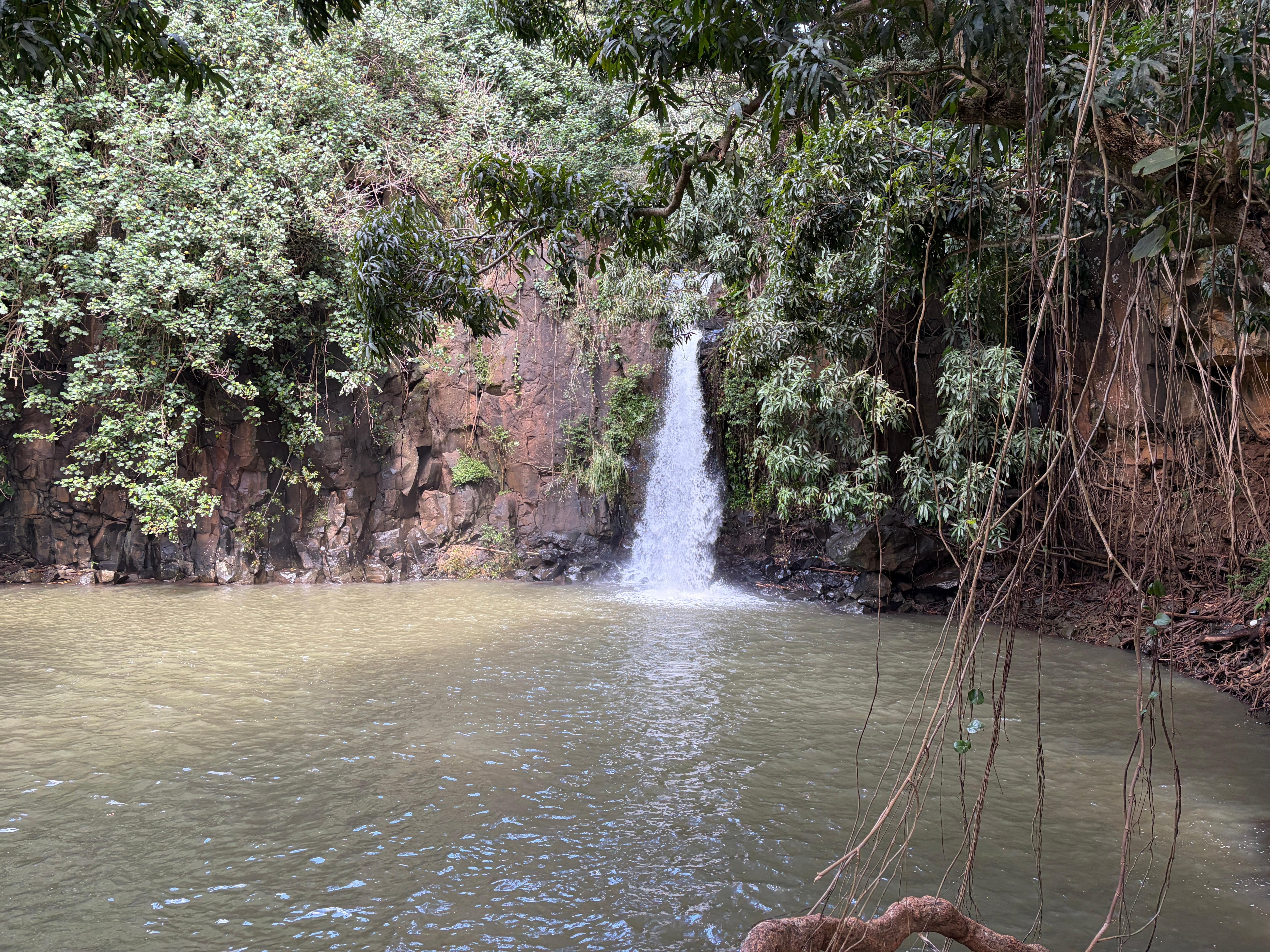 Secret Falls kayak trip