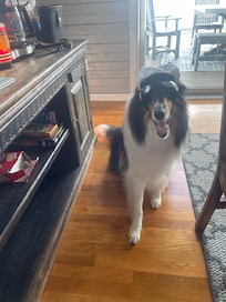 Duncan ready for a day on the lake