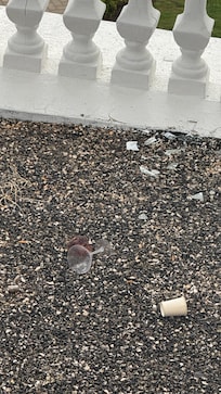 View from room. Garbage, broken glasss, dirty cloth and more