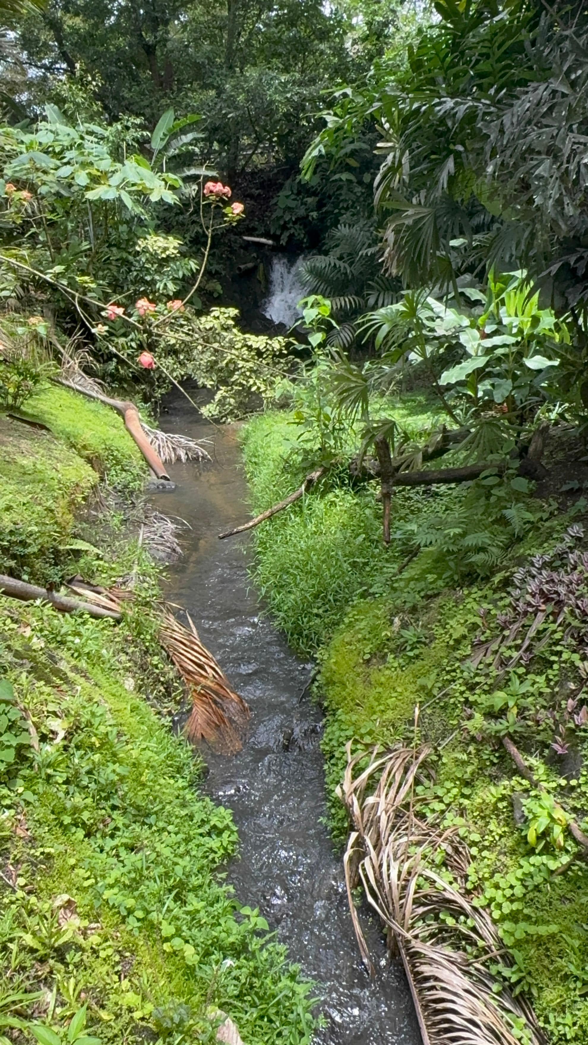Stream by the Manoa Spa