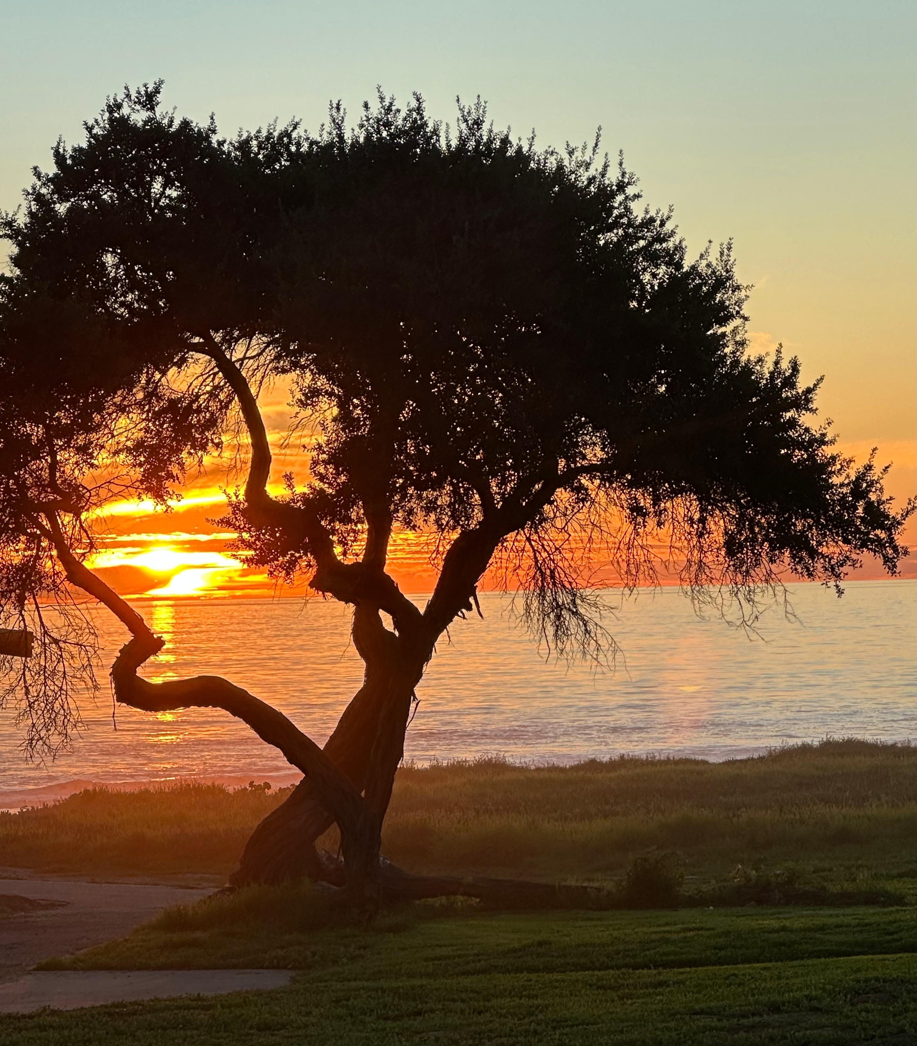 blob:https://www.vrbo.com/bae80e45-7b3a-4ffe-8dd5-dd990aa2c14d