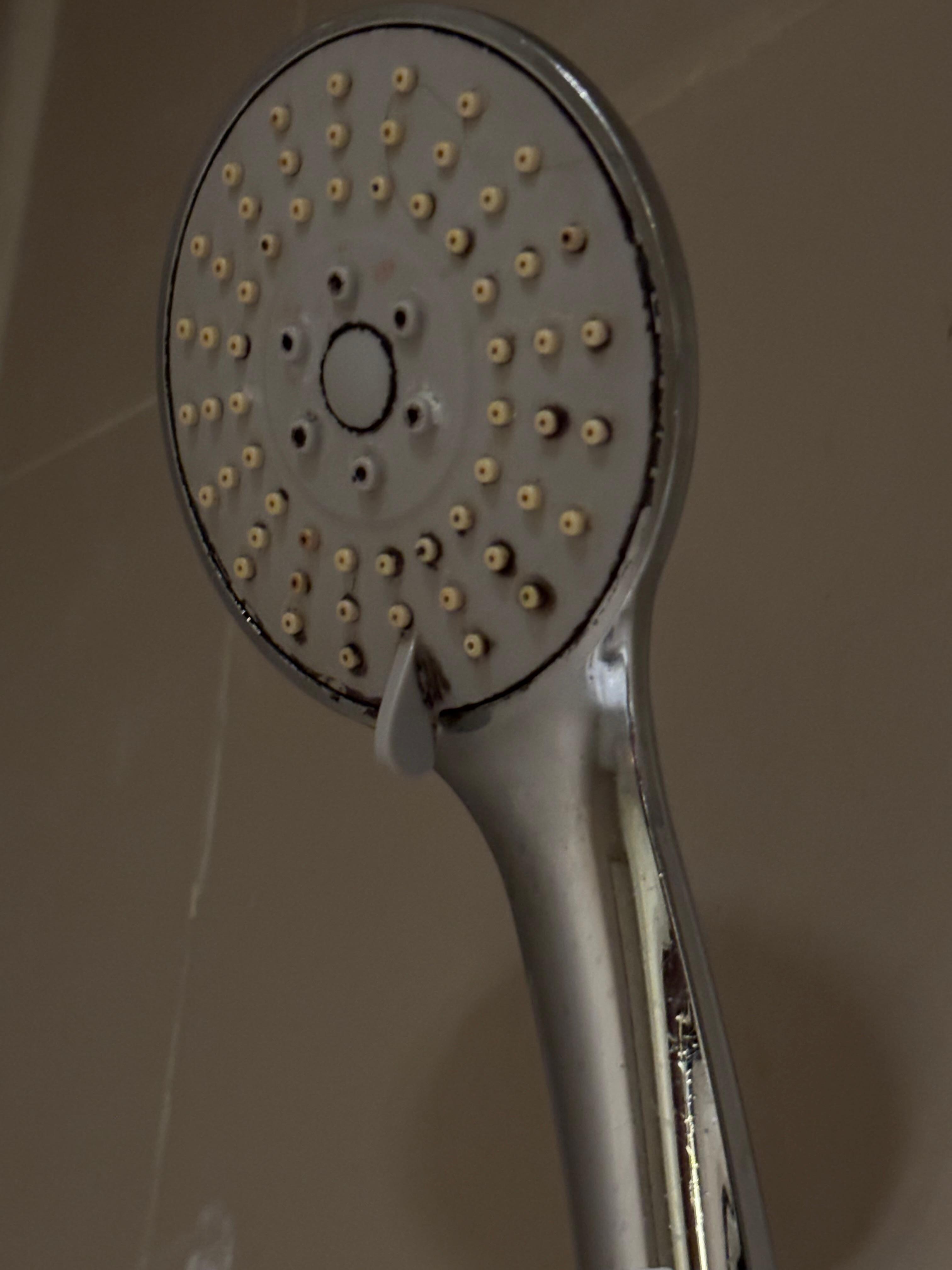 Filthy shower head covered in black mould