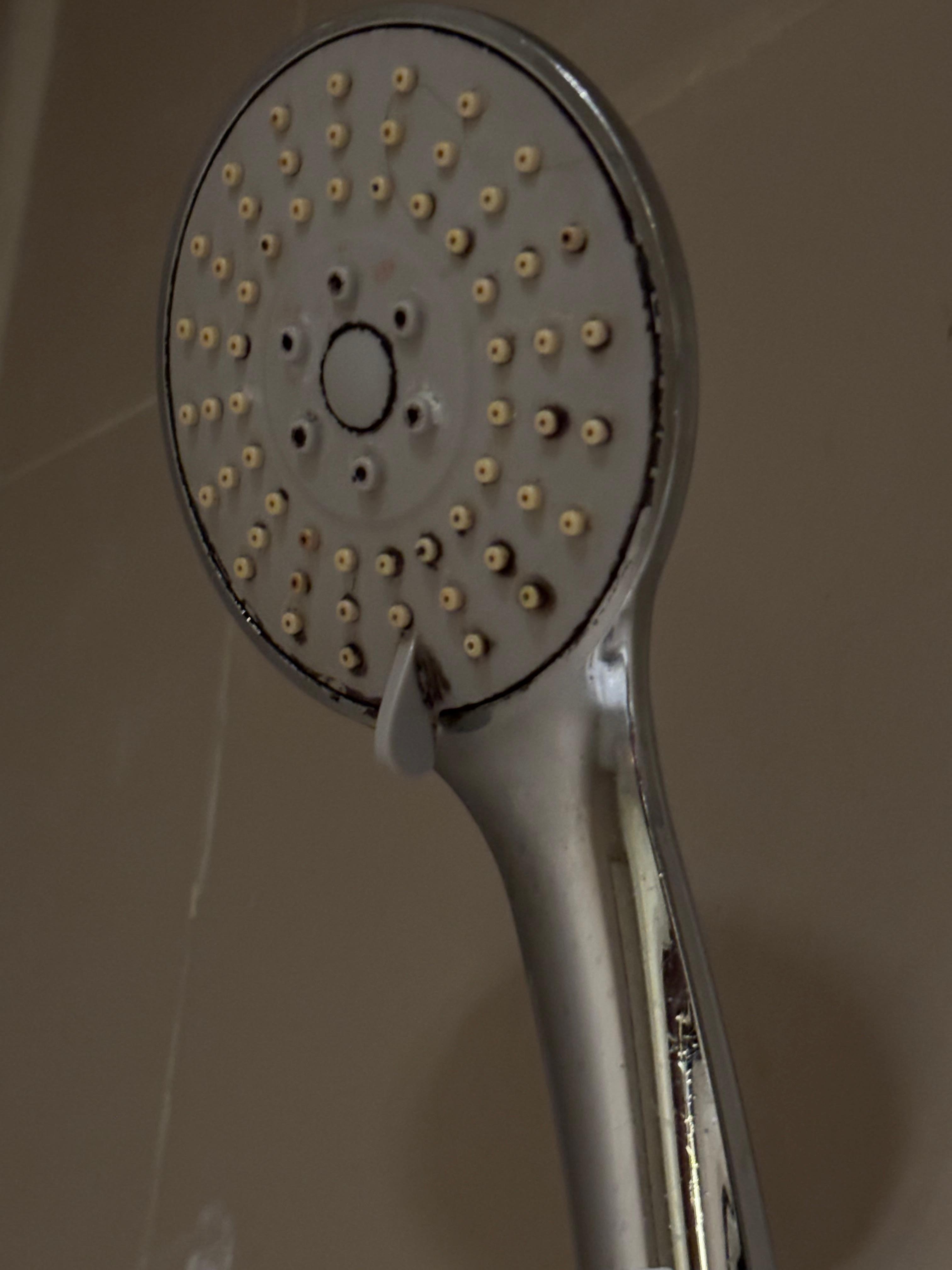 Filthy shower head covered in black mould