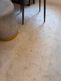 Tâches moquette chambre