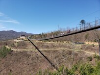 Skywalk-Gatlinburg