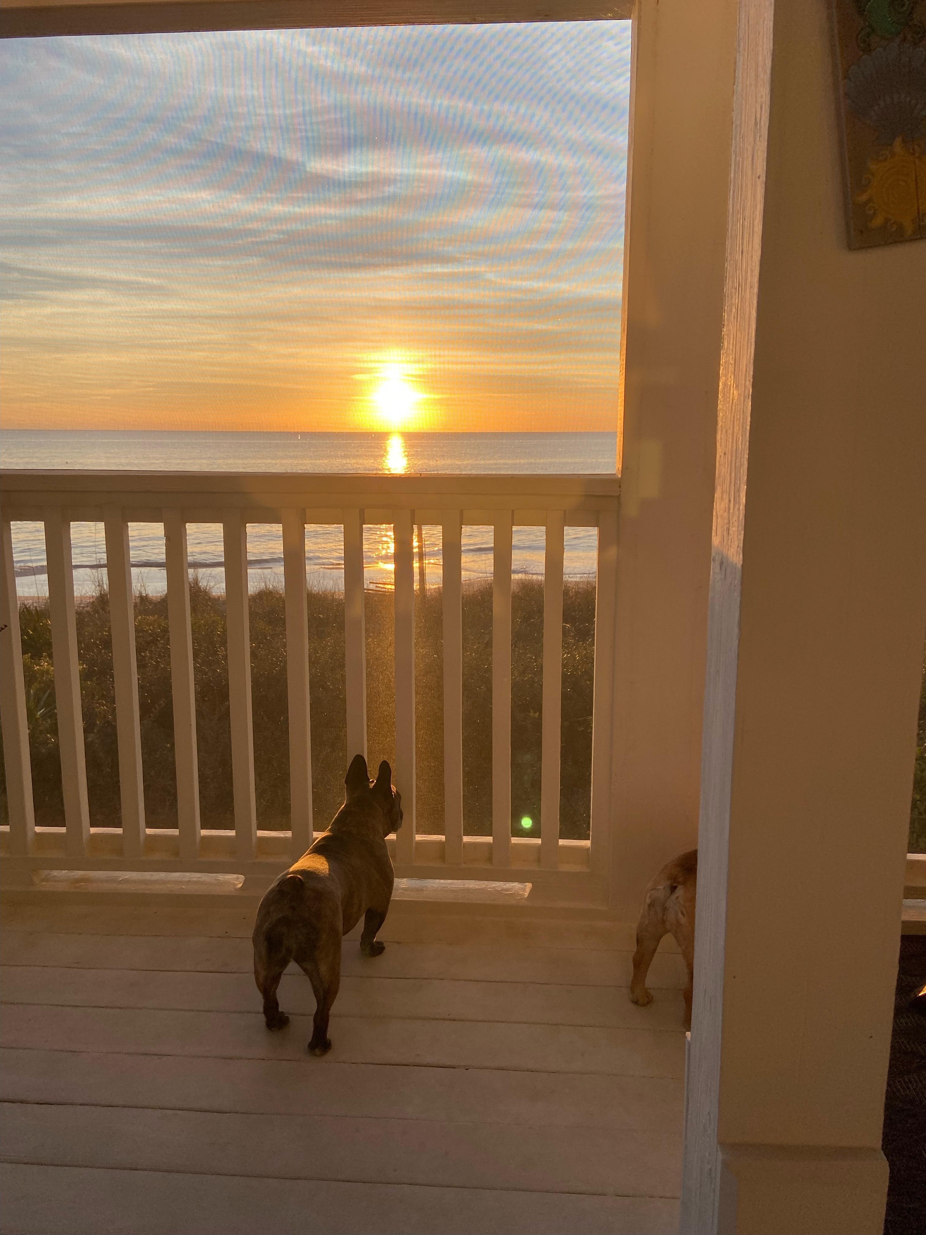 Our pups loved their vacation too!! 