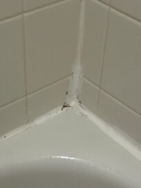 Mold