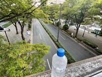 By Tokyo metropolitan government office