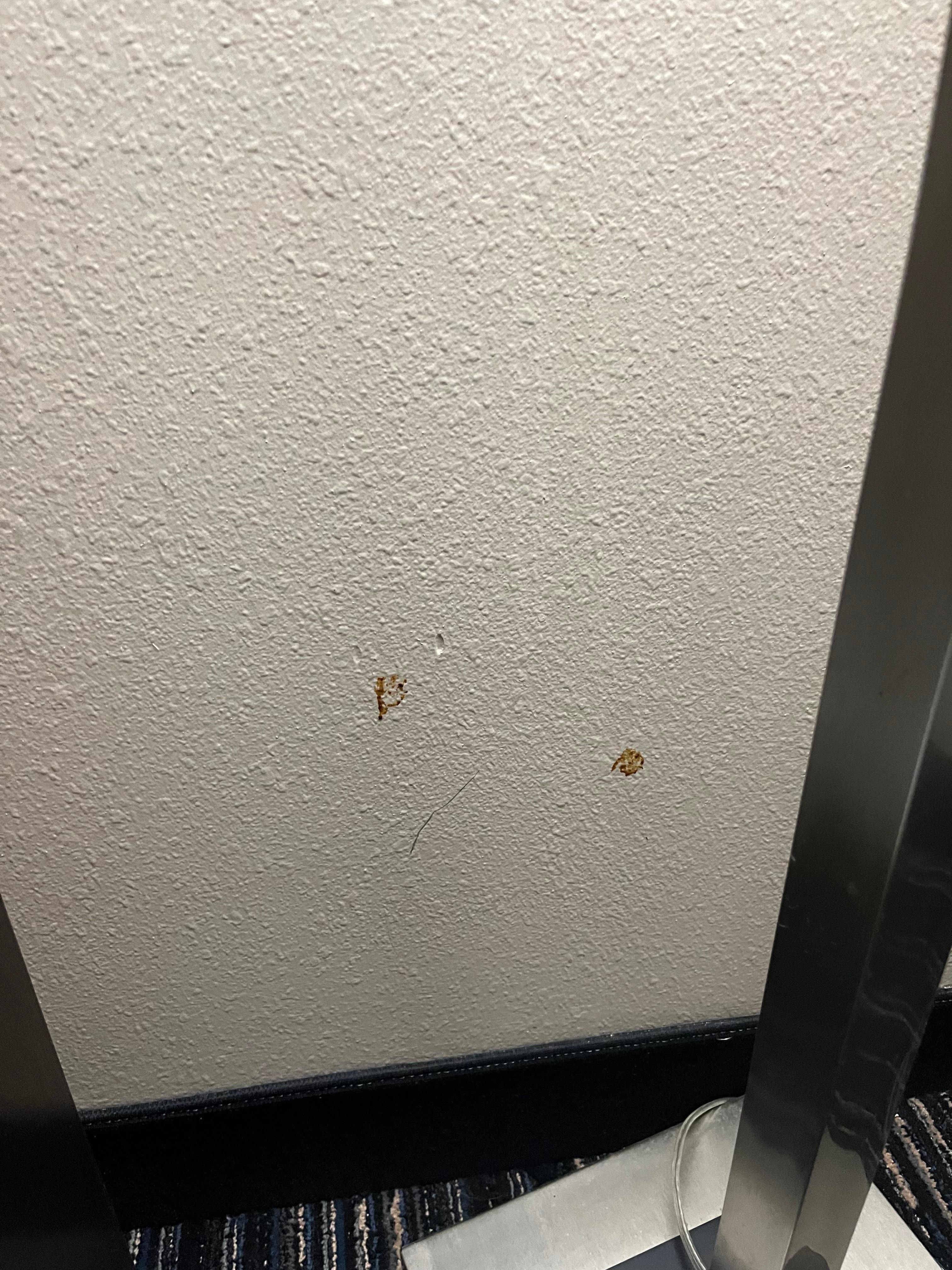 Wall by the TV in room 202, I hope pizza sauce and not blood