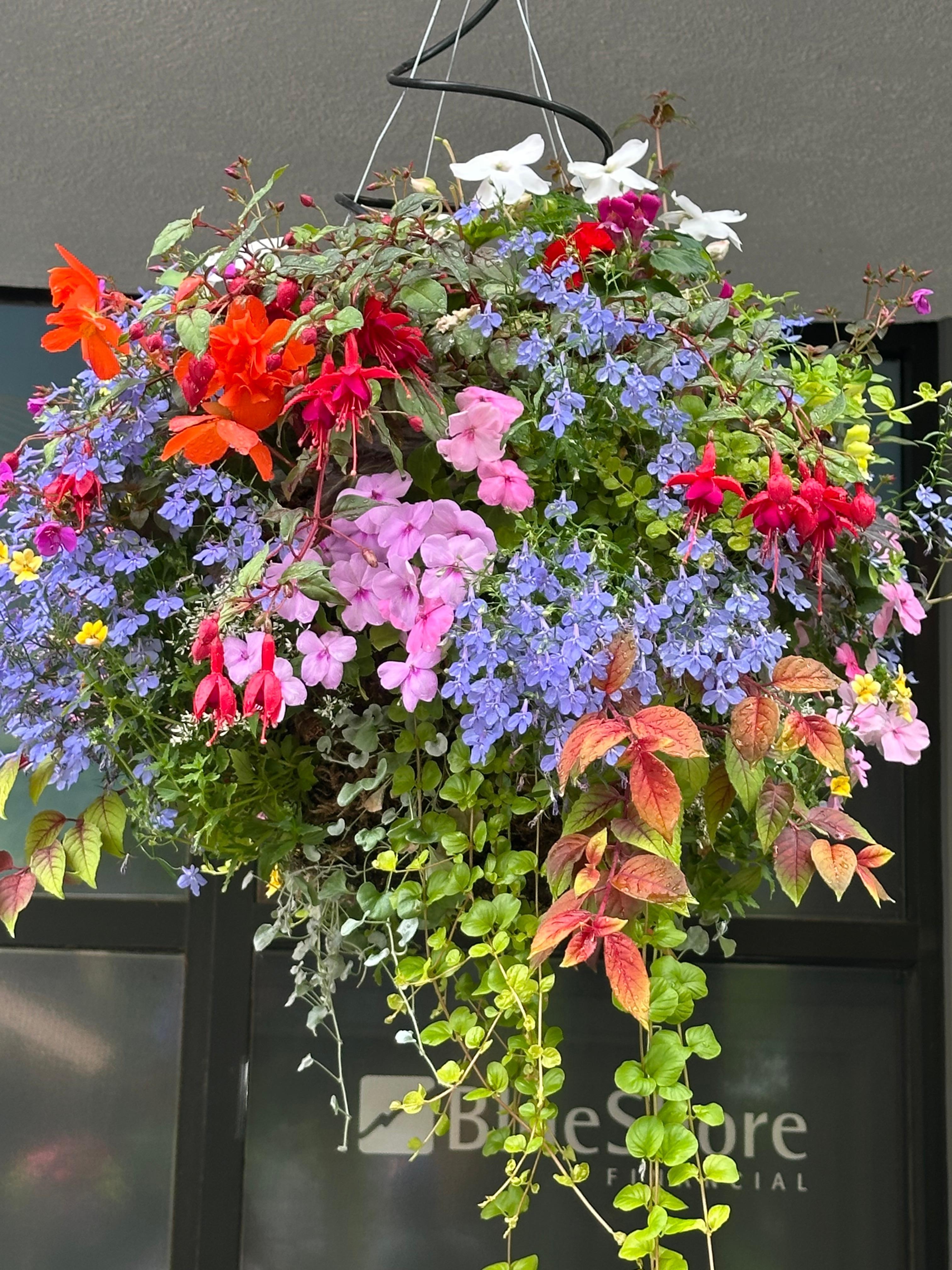 Lots of colors flawers