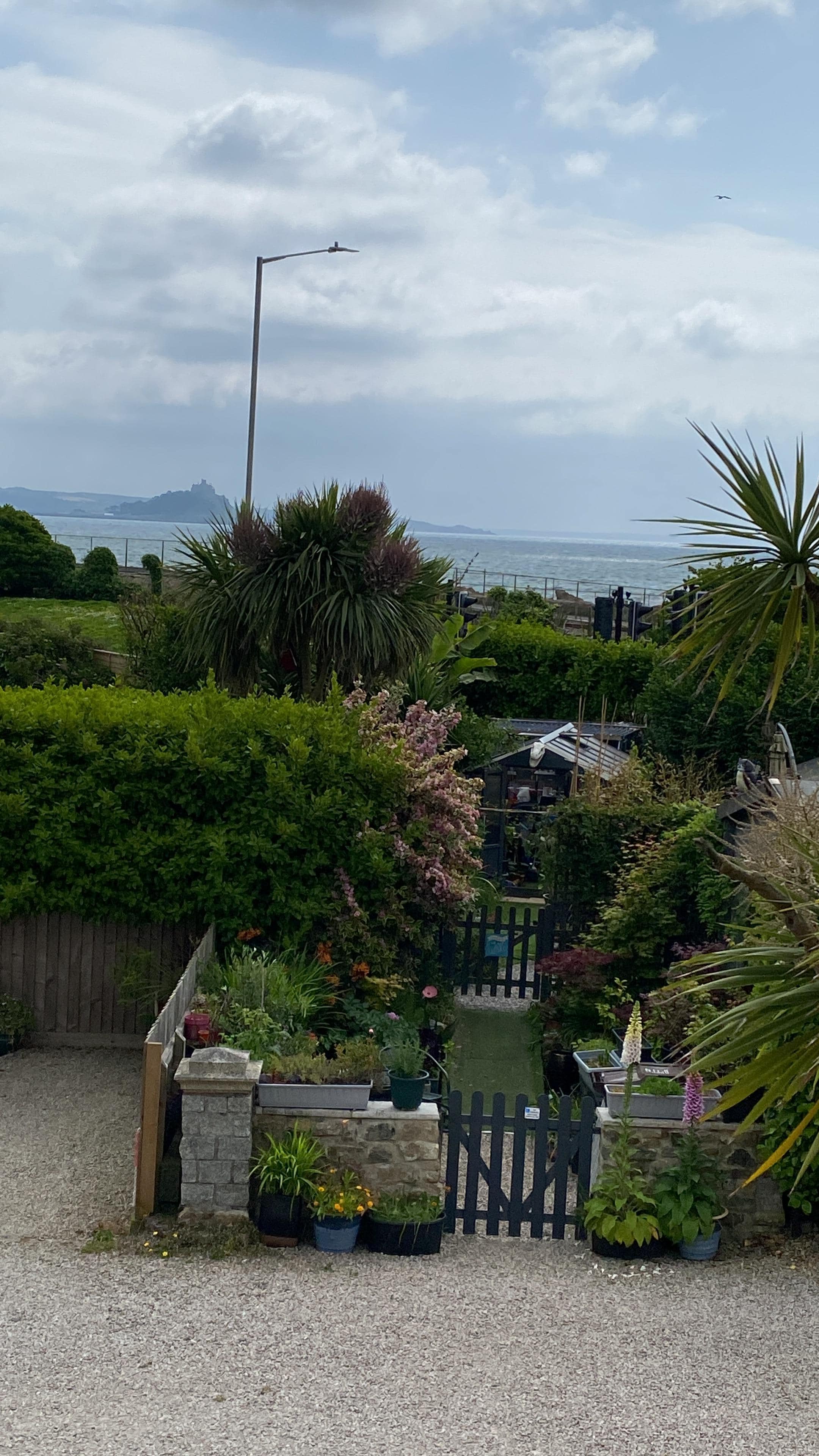 A room with a view.