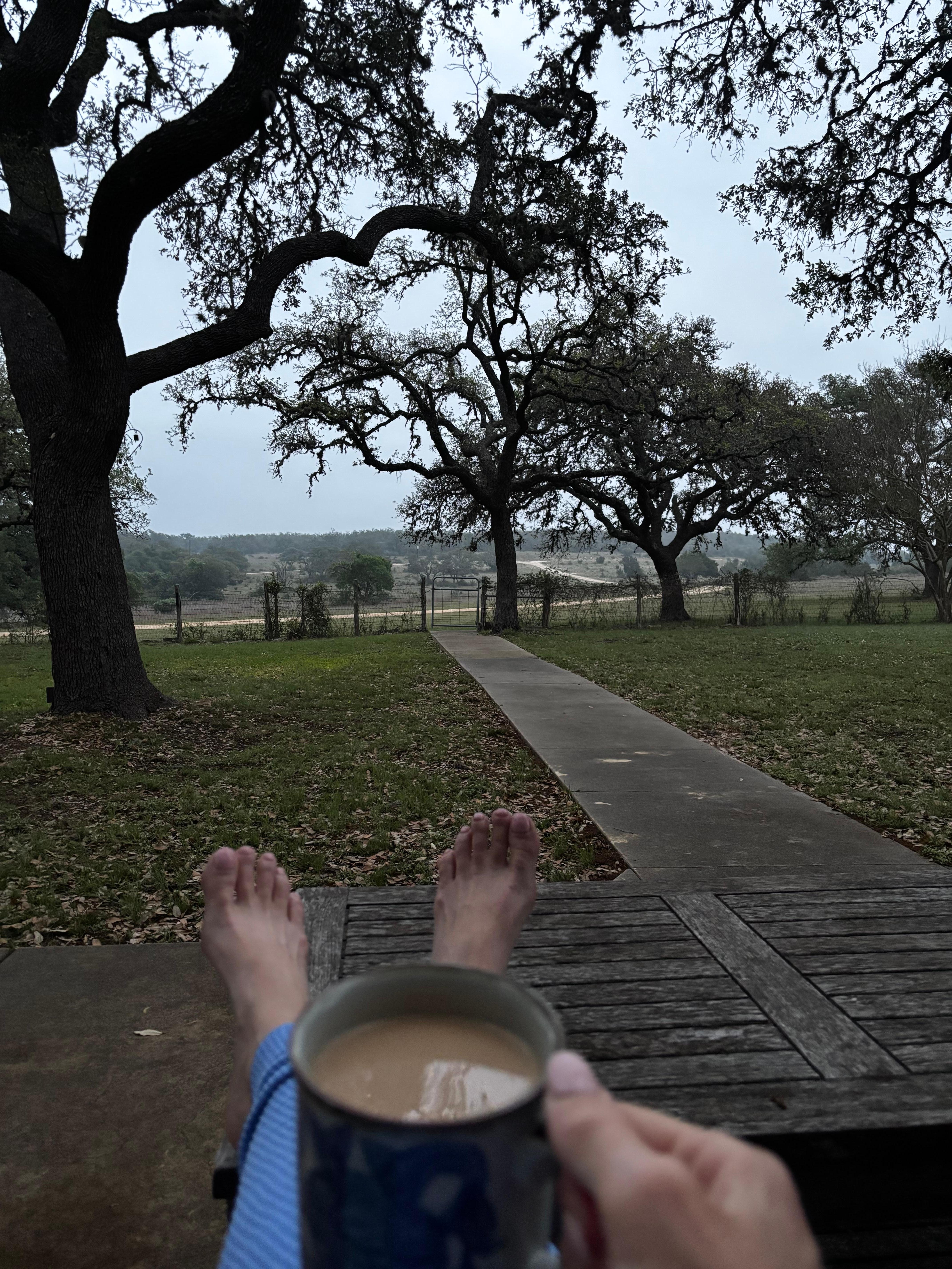 Morning coffee on the front porch offers gorgeous views and wildlife spottings