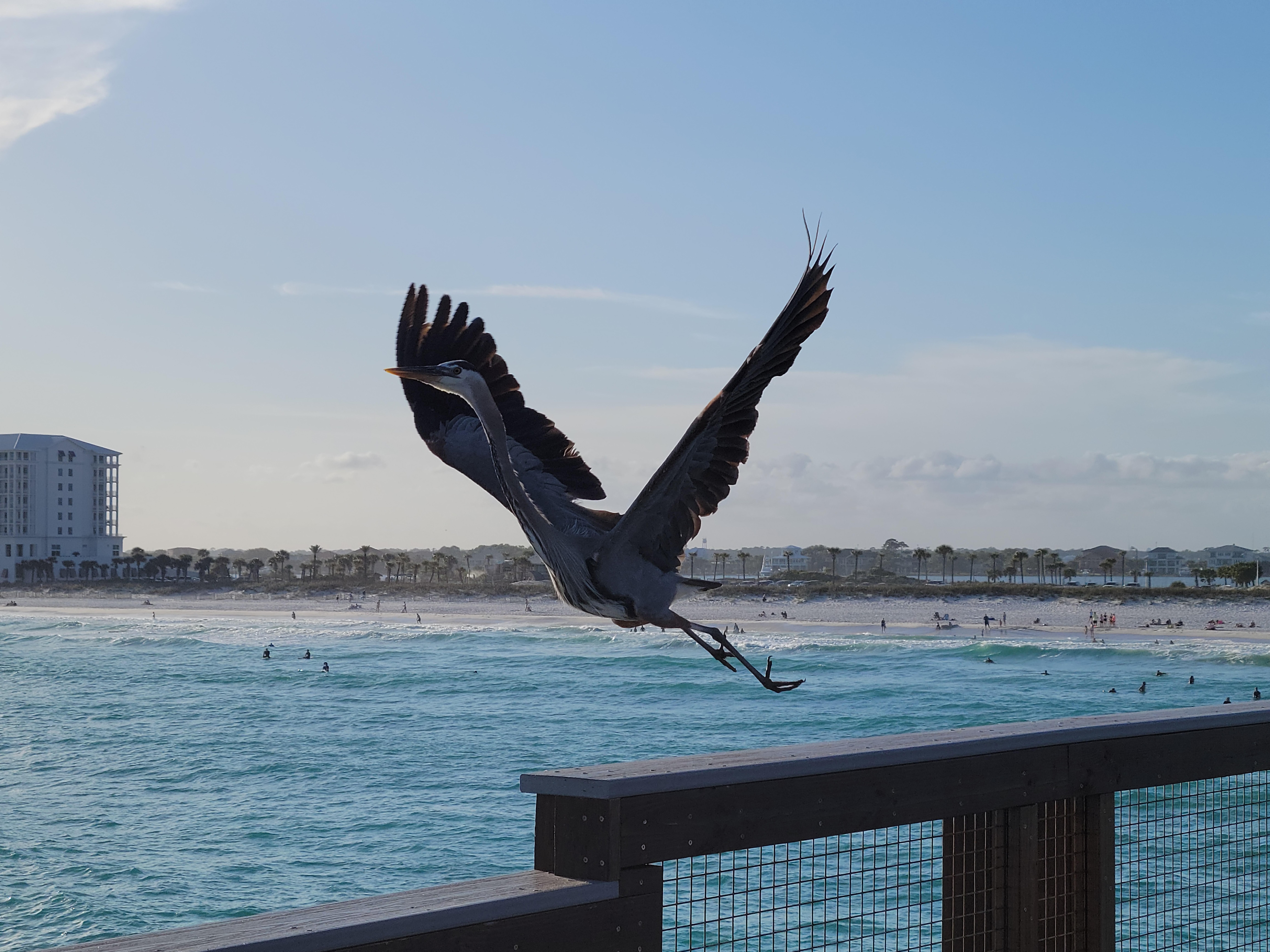While on the pier right across the street. 