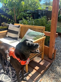 Great property for traveling with your dog!