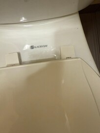 The toilet