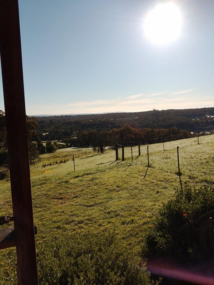 The view from the balcony 