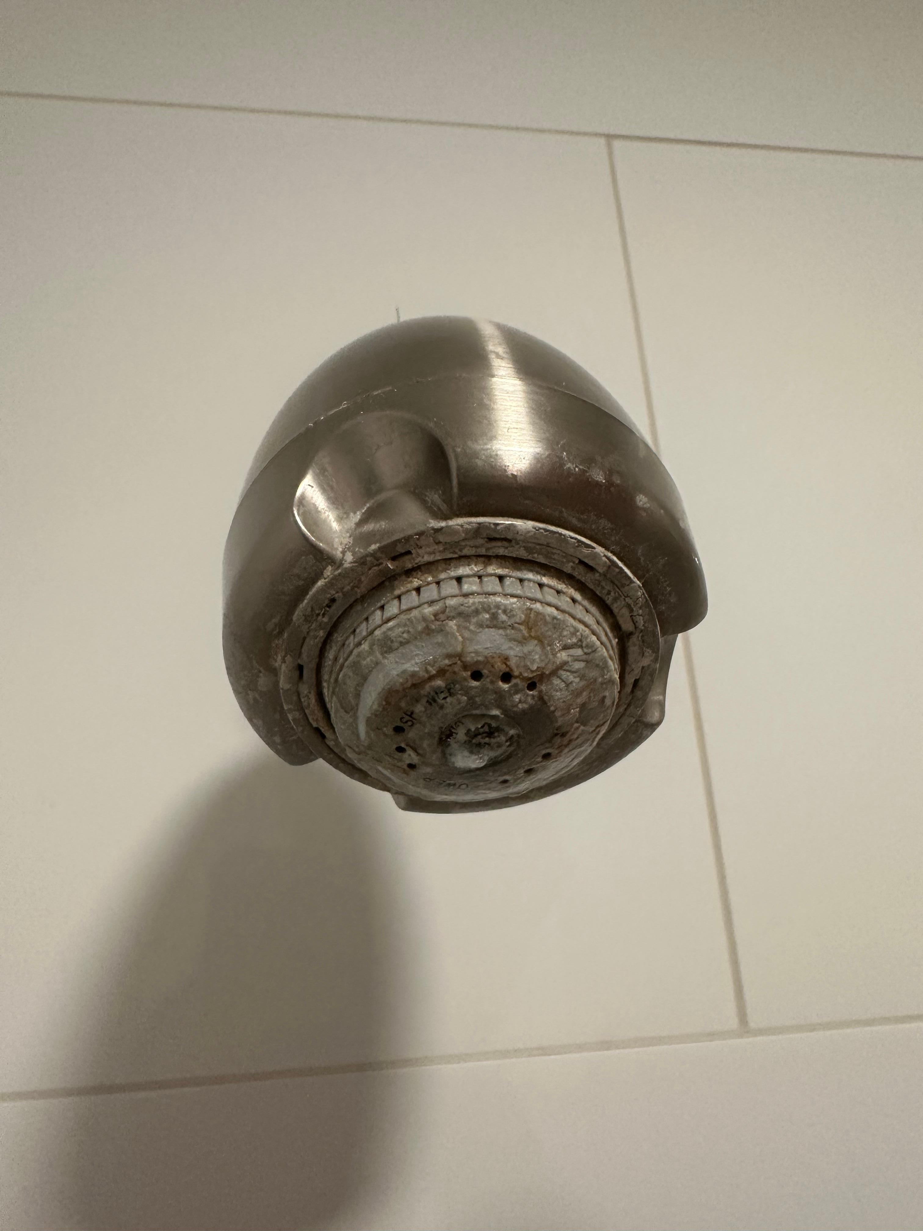 Dirty shower head!