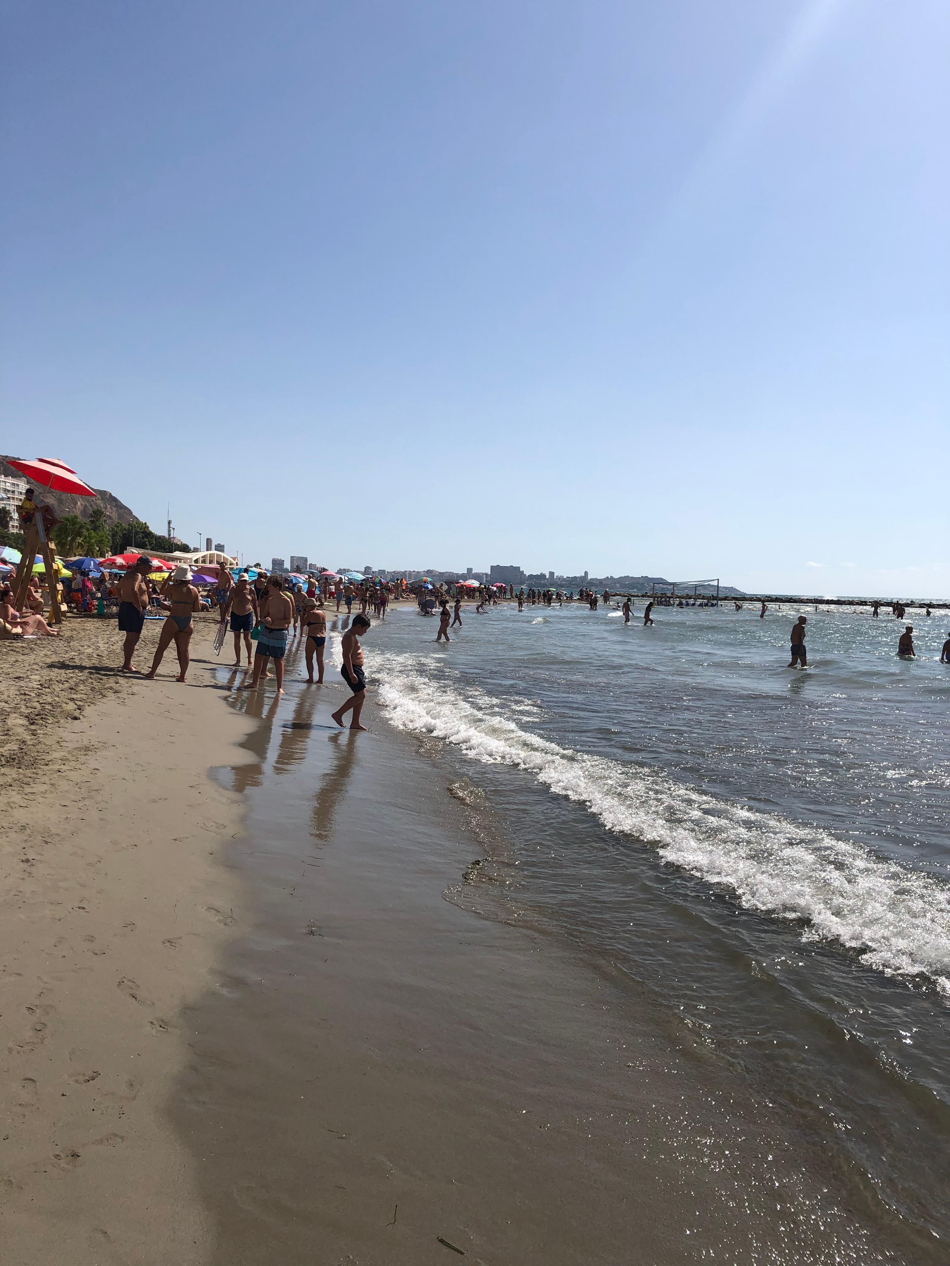 Beach near Melia alicante