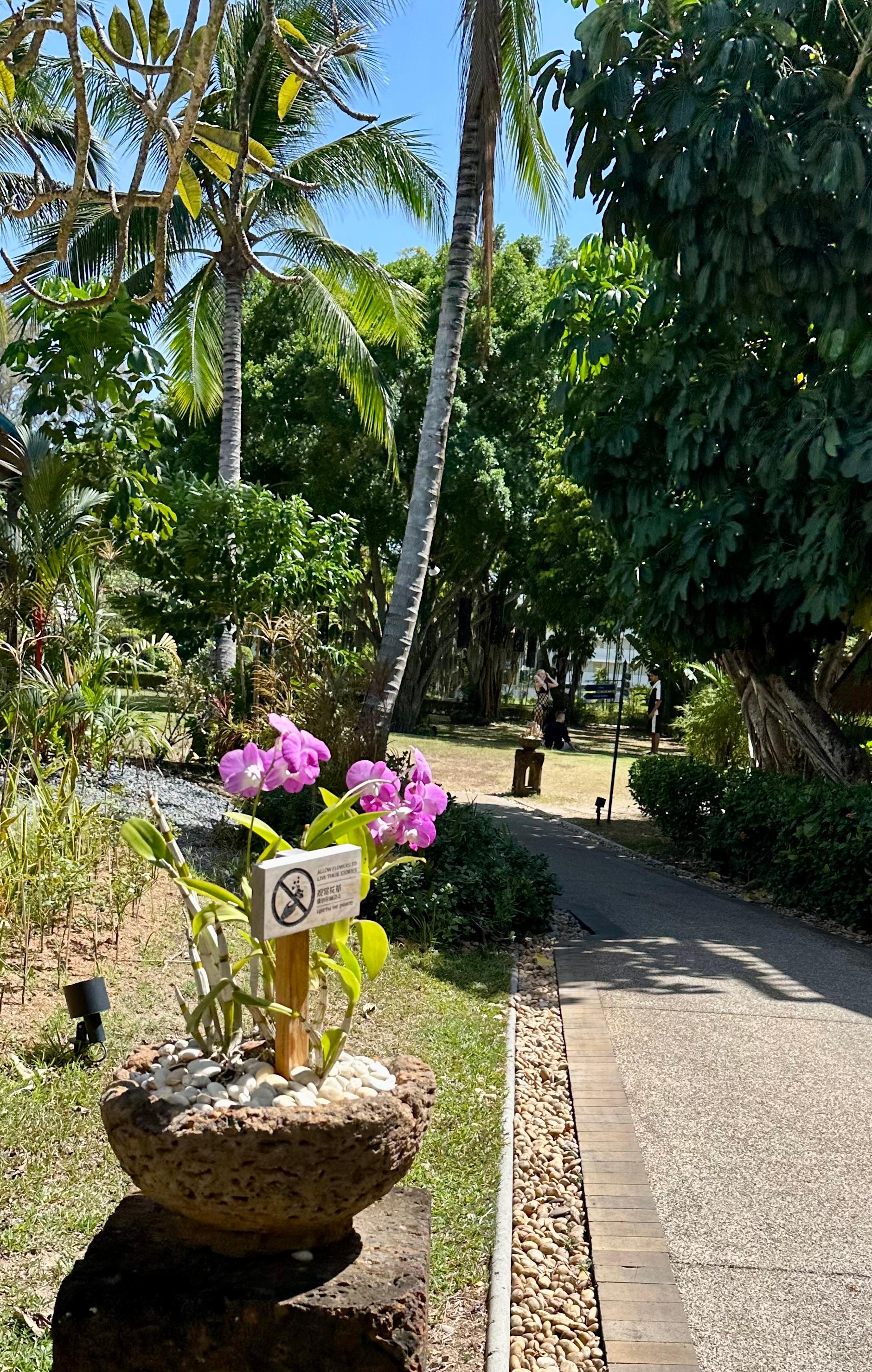 Shuttle ride to beach from lobby 