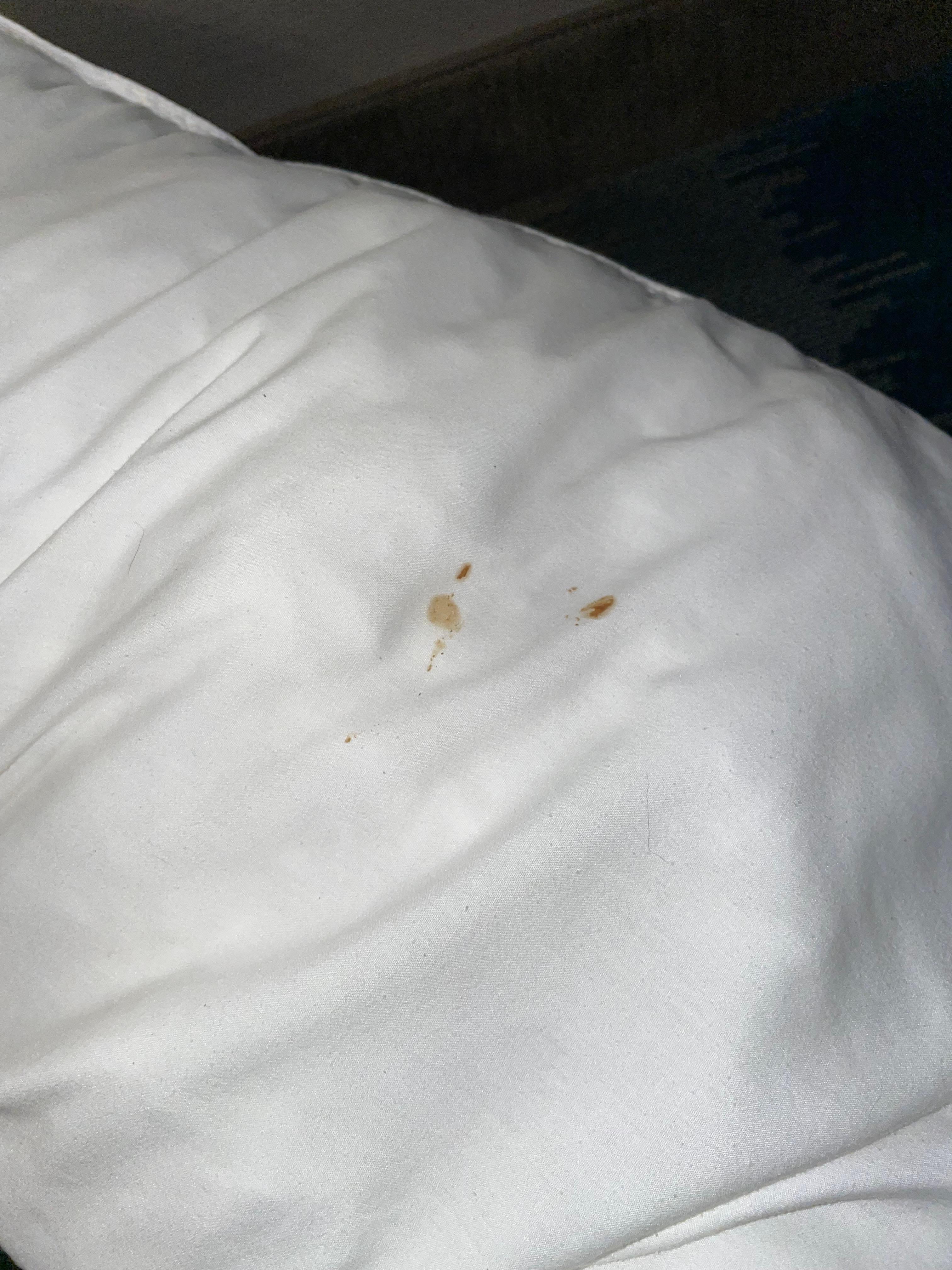 Blood on my pillow case (hoping it wasn’t poop though to be honest).