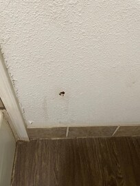 Brown on the bathroom wall