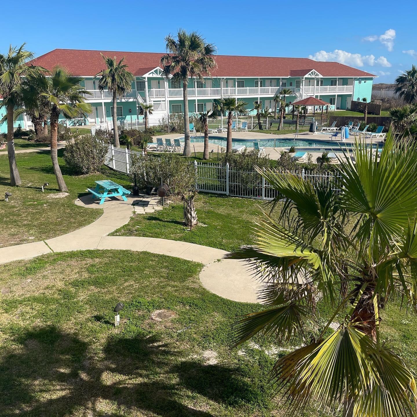 View from my room 210.