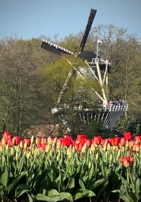 Near Keukenhoff Gardens