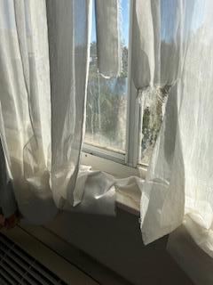 Drapes are in shreds.