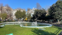 Park across the street