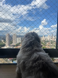 Admirando com tudo