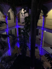 Noche de color