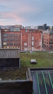 Utsikt från 7e våningen.