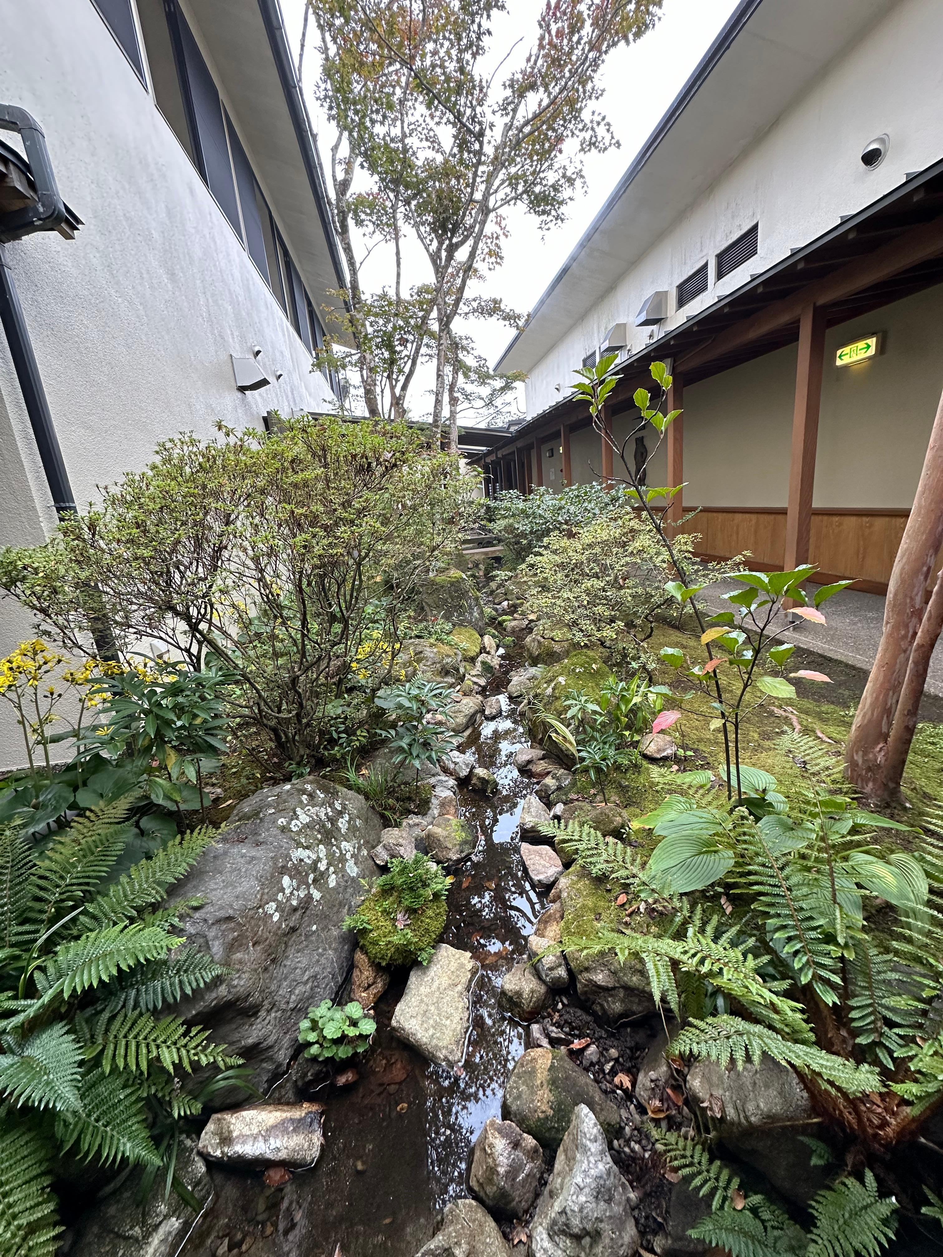 Tranquil garden path leads to Onsen.