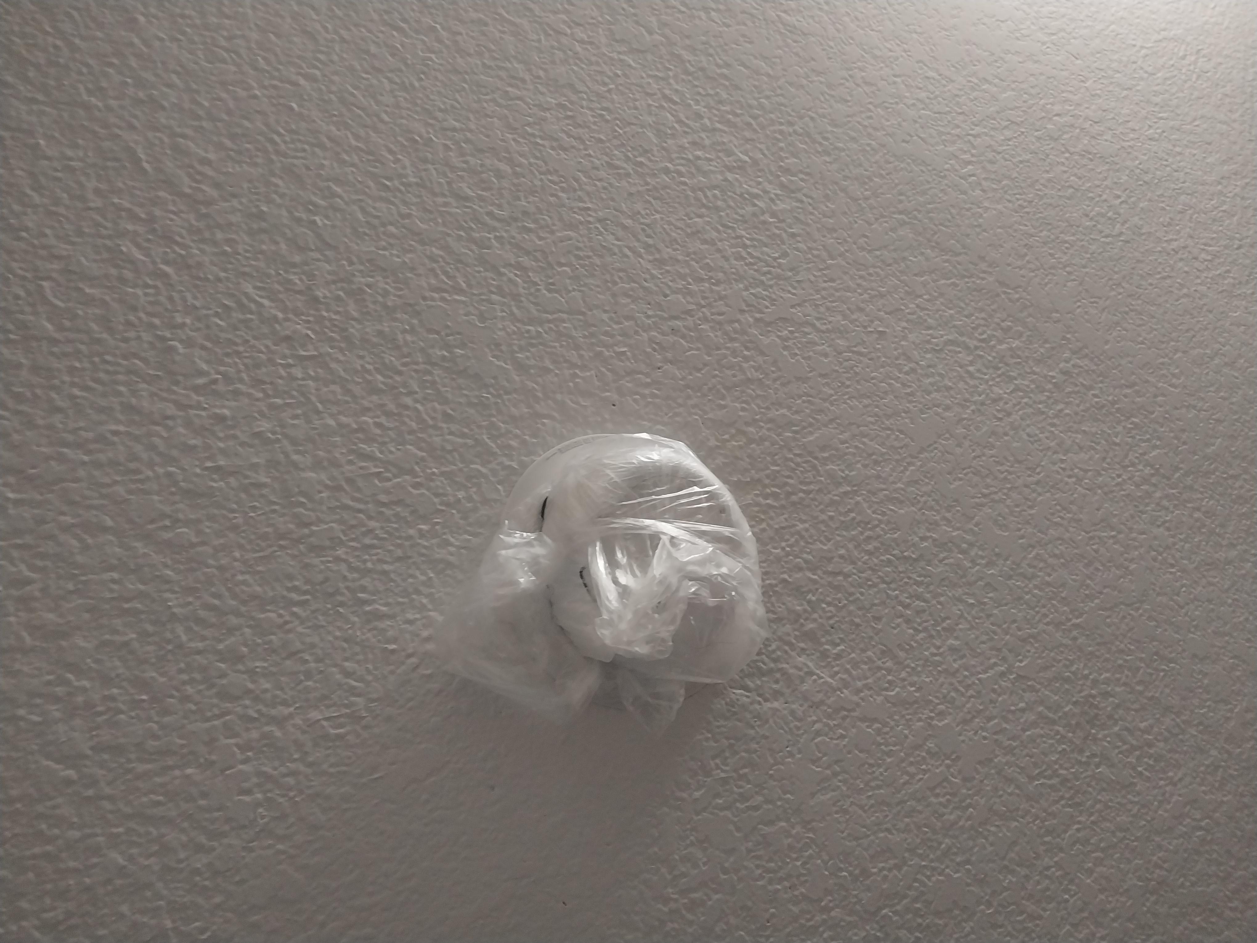 Covered smoke detector 