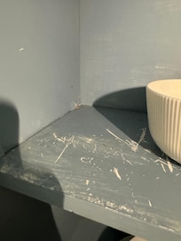 Shelves all scratched, and only a few dirty mismatched dishes