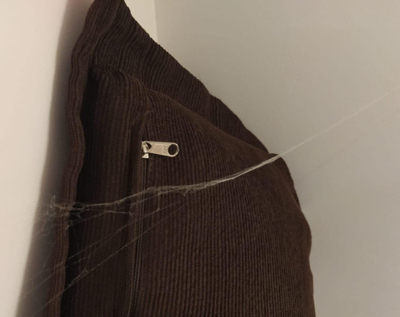 Tela de arañas en el cuarto