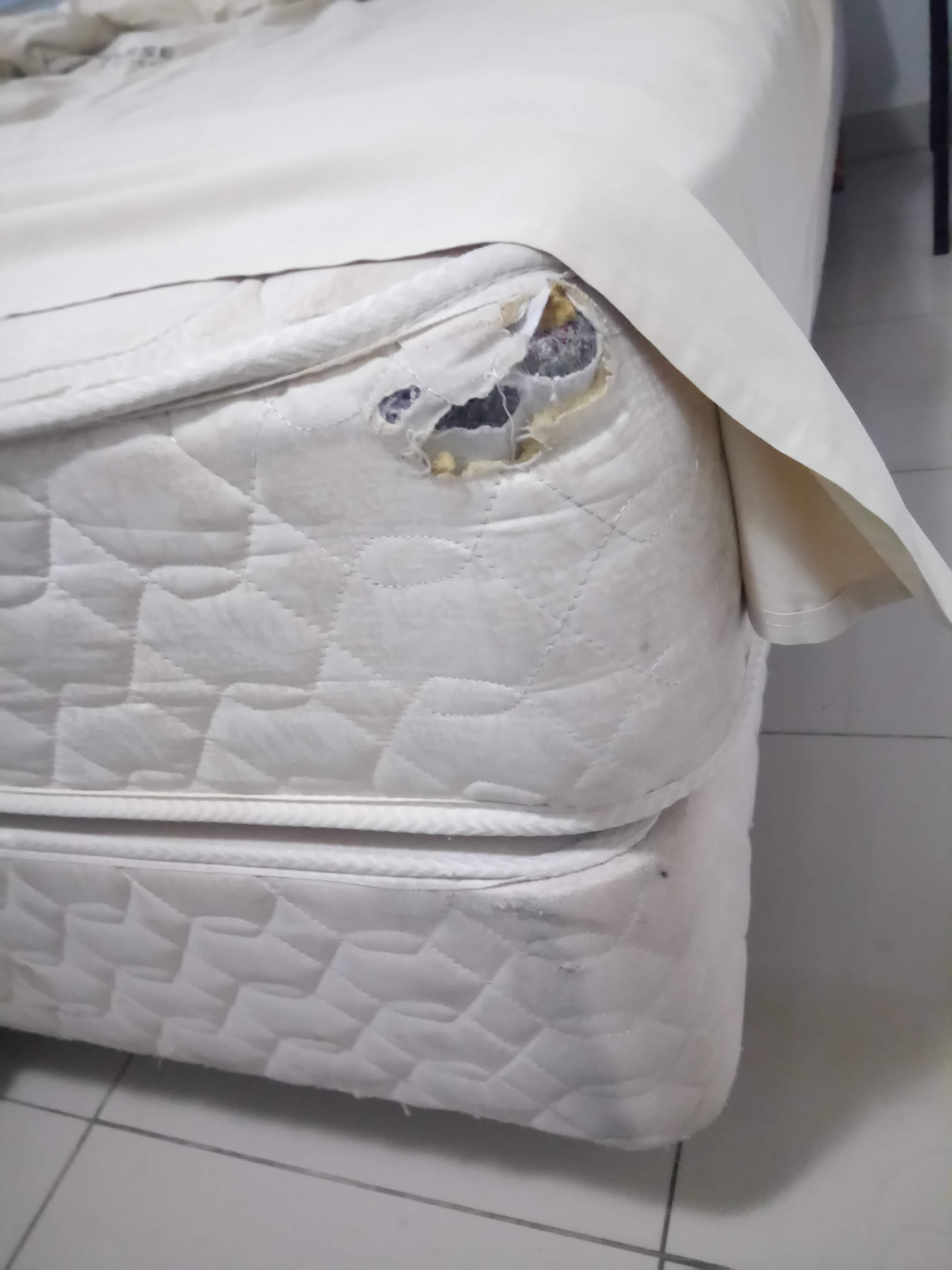 Colchão do quarto 801 (no 1104 as condições eram parecidas)